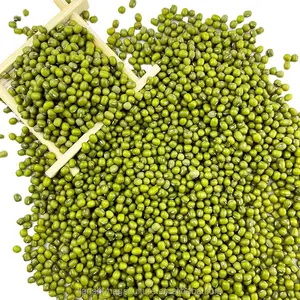 Factory Direct Sale New Crop Bright Green Mung Beans Sprouting Green mung beans