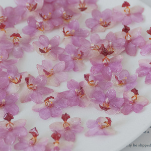 Bất Khô Đầu Hoa Tự Làm Nhựa Phalaenopsis Hoa Lan Hoa Đinh Thành phần Cho Bông Tai - Product Image 1