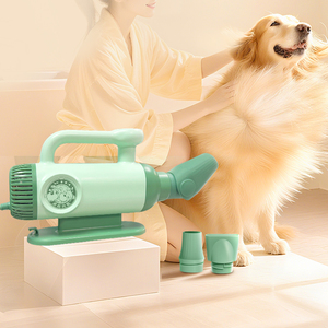 Secador de Pelo Portátil para Perros, Plástico Verde, con Accesorios, Diseño Moderno, 110-240V - Product Image 1