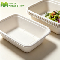 OEM Wegwerp Bagasse Voedselcontainers Biologisch afbreekbaar & composteerbaar Afhaallocaties Lunchboxen Magnetronbestendig PFAS-vrij