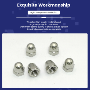 An toàn chặt Fastener Hội đồng duy trì kết nối toàn vẹn kẽm mạ chống ăn mòn Độ chính xác cao <span class=keywords><strong>cap</strong></span> Hex hạt - Product Image 5