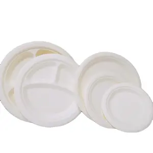 Sugarcane Bagasse Disposable Party Dinnerware Paper Plate Set manufacturer disposable plate
