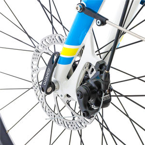 Vélo électrique JOYKIE 2022 w à entraînement par courroie, bicyclette de ville en chine, 250 - Product Image 3