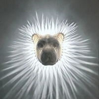 Lampe de nuit LED TSINYE, nouvelle tendance, installation facile, décoration artistique pour la maison, luminaires muraux 3D modernes en forme d'aigle, d'hibou, de lion, lumière décorative LED