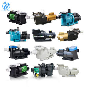 Couronne d'eau Piscine <span class=keywords><strong>SPA</strong></span> Cascade Filtre à sable Pompe à eau électrique en acier inoxydable - Product Image 5