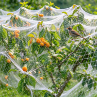 Filet anti-vent sur mesure pour la protection contre la grêle des vignobles, vergers, arbustes à baies, étangs à poissons et cerisiers