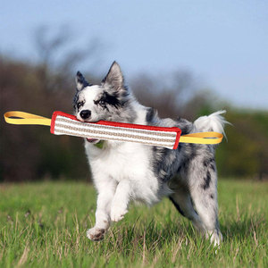 कुत्ते का प्रशिक्षण विरोधी कपड़े काटने छड़ी कुत्ते के काटने से मोलर पालतू जानवर बड़ा जर्मन चरवाहा लक्ष्य प्रशिक्षण - Product Image 5