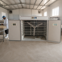 Incubateur et équipement d'éclosion de poulets entièrement automatiques professionnels 4224 œufs