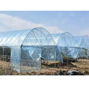 UV Agricultural Commercial Low Humidity Anti-Aging Light Turning Greenhouse Film for Vegetable/Fruit Used in Farm/Garden
