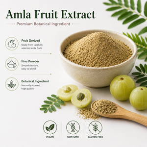 <strong>Amla</strong> Fruit Extract Herbal Water Extract Food Grade Botanical <strong>Powder</strong> ISO/Halal/Kosher/Organic Certified Bulk Supply - Product Image 3