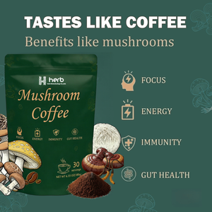 กาแฟเห็ดสำเร็จรูปสำหรับผู้ใหญ่ แบรนด์ส่วนตัว ODM/OEM ช่วยเพิ่มสมาธิ ความจำ ภูมิคุ้มกัน และพลังงาน - Product Image 3