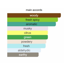 Parfum Asli Spring Flower Pengiriman 2~7 Hari Dropshipping Cologne Dengan Sertifikat Tahan Lama EDT/EDP/Intense/elixir Spray - Product Image 3