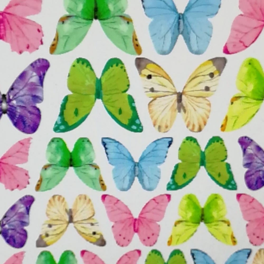40 thin butterfly 2