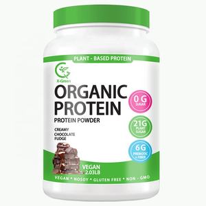 Proteine in Polvere Vegane Biologiche OEM al Cioccolato Cremoso, 21g di Proteine Vegetali, Basso Contenuto di Carboidrati, Ricostruzione Muscolare - Product Image 1