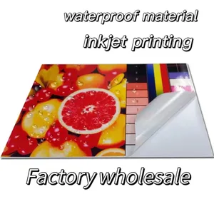 Best Verkopende Waterbestendige Pp 120 Inkjet Matte Pp Sticker Papier Waterdicht Pp Synthetisch Papier Polypropyleen Film