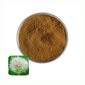 Halal Kosher mẫu miễn phí Hữu Cơ bồ công anh chiết xuất từ rễ Hữu Cơ bồ công anh gốc - Product Image 1