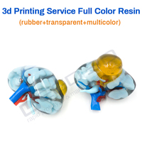 Service d'impression 3D couleur Stratasys PolyJet – Modèle médical personnalisé en matériaux mixtes pour la chirurgie orthopédique pulmonaire