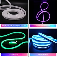Bande lumineuse néon 12V 24V RGB adressable, étanche IP67, flexible, 96 LED/m, 6*12mm 8*16mm, pour décoration intérieure et extérieure