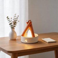 Lampe de camping LED à effet de feu de camp, veilleuse à bruit blanc, ornement décoratif de chevet, modèle populaire sur internet