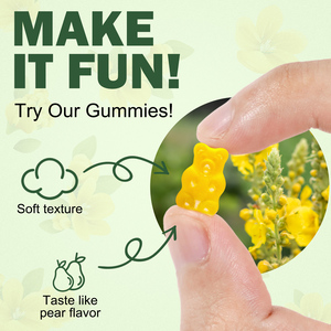 Hatmanlabs mullein lá chiết xuất Gummies hỗ trợ miễn dịch hô hấp phổi làm sạch Vegan mullein Gummies cho sức khỏe tổng thể - Product Image 3