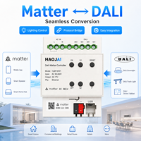 Hub intelligent Tuya Matter Zigbee Thread filaire DALI, passerelle de maison intelligente Tuya Matter avec automatisation de l'éclairage résidentiel