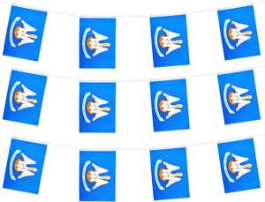 Sıcak <span class=keywords><strong>Louisiana</strong></span> devlet 3 Ft * 5 Ft çift taraflı baskılı Polyester bayrak afiş - Product Image 4