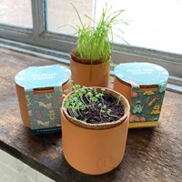 Kit de jardin d'herbes d'intérieur en terre cuite minuscule pour animaux de compagnie Pots de fleurs et jardinières avec lumière de croissance et terre de tourbe de coco