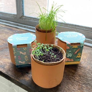Tiny Terracotta Indoor Herb Garden Kit para mascotas Macetas y jardineras con luz <span class=keywords><strong>de</strong></span> cultivo y suelo <span class=keywords><strong>de</strong></span> turba <span class=keywords><strong>de</strong></span> coco - Product Image 3