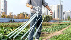 Tomate grimpante concombre poteaux de clôture piquets de poteau végétal prend en charge l'agriculture arc hangar support - Product Image 5