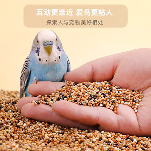 Alimentation pour oiseaux Crown Asia Parrot Bird Food Millet rouge Millet cinq couleurs Alimentation nutritive pour perruches Nourriture générale pour animaux de compagnie - Product Image 3