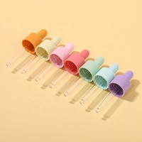 Flacon Compte-Gouttes en Verre 30ml avec Pipette, Flacon Tête de Mort en Verre pour Huile Essentielle 30ml 50ml avec Pipette Rose