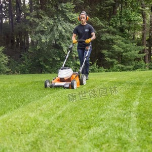 Cortacésped manual Steele RMA510 de 3.5 HP para el cuidado del césped - Product Image 2