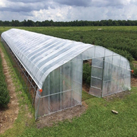 Serres agricoles et tunnels de culture en film plastique, serres à tomates à structure métallique à vendre