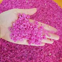 Oferta Especial Resina Epóxi Art Nail Sabão Vela Perfumada Fazendo Flor Seco Brasil Little Star Flower Natural Minúsculas Flores Secas