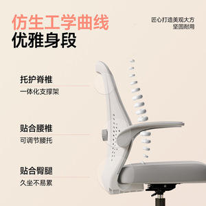 LingTuo Ergonomic Office <b>Chair</b> With Flip Armrest And Swivel Base For Home Office Bedroom <b>Study</b> Use - Product Image 2