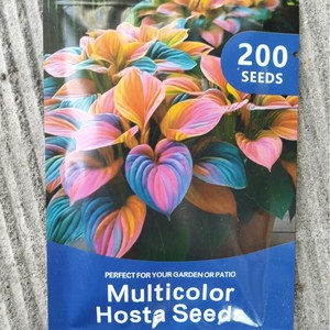 <span class=keywords><strong>Semi</strong></span> di Fiori Misti Pronti per la Spedizione Transfrontaliera: Rose, <span class=keywords><strong>Fiordaliso</strong></span>, Zinnia per Giardinaggio e Orticoltura - Product Image 3