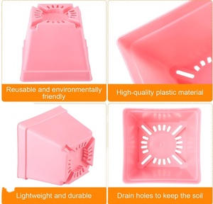 Divers plastique PP pépinière jardinière plastique <span class=keywords><strong>carré</strong></span> coloré Pot de fleur <span class=keywords><strong>jardin</strong></span> - Product Image 6