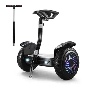 Düşük fiyat garantili kalite kendi kendini dengeleyen scooter durun kurulu ab stok iki tekerlekli off road hoverboard