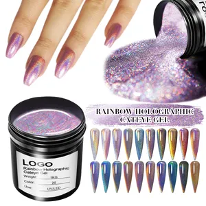 2023 New Trendy 9D Rainbow Holographic Cat Eye Gel 20 colori 1kg imballaggio Holo Cat Eye Gel