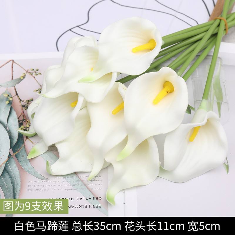 Pu calla lily mini petit noyau jaune blanc