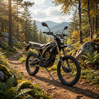 Moto électrique tout-terrain Sur-ron Ultra Bee 74v à prix réduit, 24.5KW L3E, 60AH, 520N.m