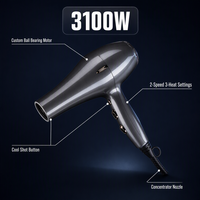 Sèche-cheveux professionnels pour salon, marque privée, fabricant de moteurs AC, sèche-cheveux 3000W