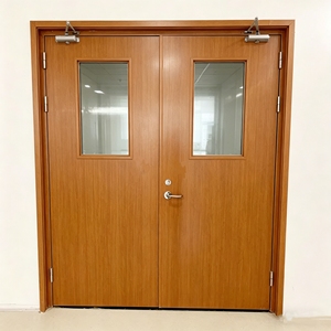 <span class=keywords><strong>Porte</strong></span> en acier inoxydable ignifuge 90 minutes, conception personnalisée CAD, finition pour hôpitaux, hôtels, écoles, ateliers, projet global - Product Image 2