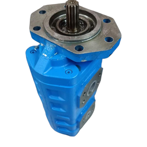 อุปกรณ์ของผู้ผลิตปั๊มเกียร์ HansenCBY30502032K1016คุณภาพสูง - Product Image 3