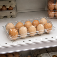Boîte à œufs 10 unités en PET transparent empilable jetable avec compartiments indépendants pour fermes avicoles, centres d'emballage d'œufs et vente au détail (OEM)