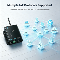 Terminal industriel multi-protocoles LoRaWAN BLE YFL1410-4G, bande de fréquence personnalisée, unité d'acquisition de données à distance sur réseau cellulaire 4G