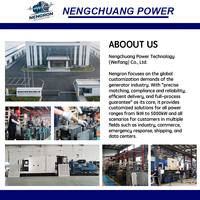 Générateur diesel ouvert Nengron Epa Coc 1000/2000Kw pour l'énergie éolienne, qualité supérieure pour l'alimentation principale des grands équipements
