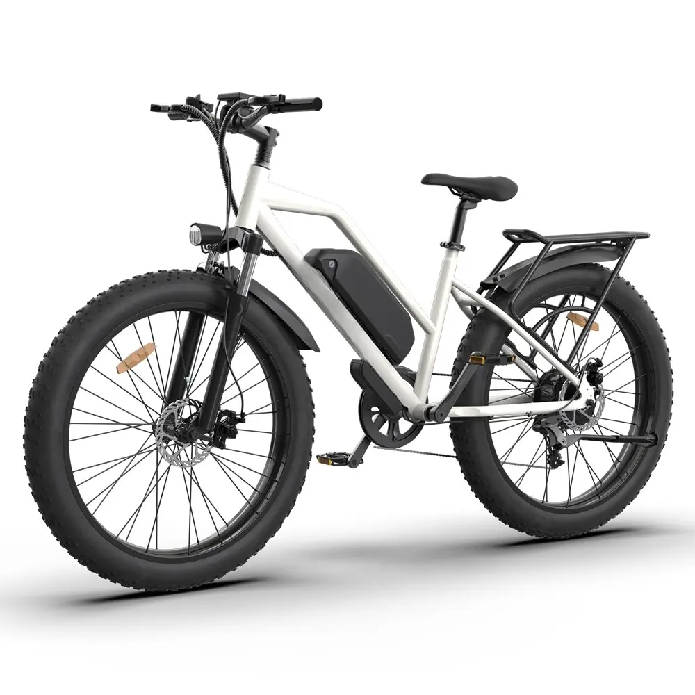 Akıllı Pedal yardımcı Lowrider 48V 750W 13Ah çıkarılabilir lityum lityum pil yeşil güç 26*4.0 inç yağ lastik elektrikli bisiklet