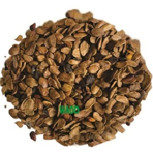 Premium Organic Hunteria Umbellata Dry Abere Kernels a granel Precio competitivo Productos agrícolas en los EE. UU. - Product Image 1
