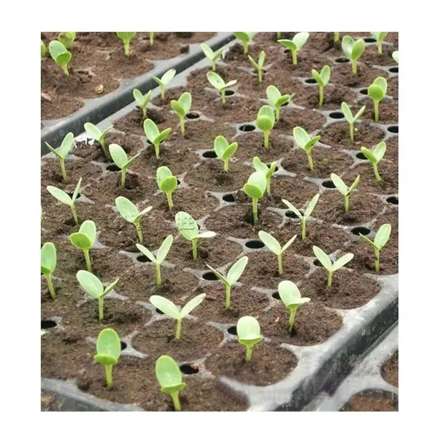 Effiziente arbeits sparende Kultivierung Samen Pflanzer Pflanzer wachsen Sämlinge Tablett Sä maschine